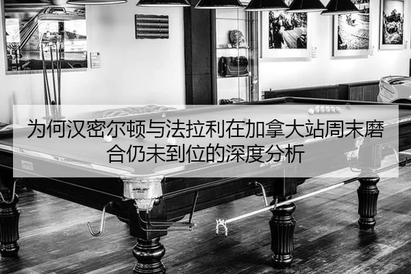 wei-he-han-mi-er-dun-yu-fa-la-li-zai-jia-na-da-zhan-zhou-mo-mo-he-reng-wei-dao-wei-de-shen-du-fen-xi-2-394.jpg