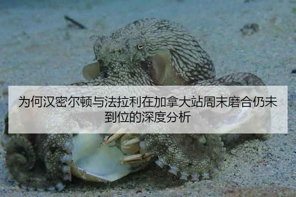 为何汉密尔顿与法拉利在加拿大站周末磨合仍未到位的深度分析