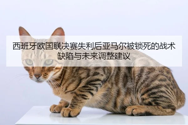 xi-ban-ya-ou-guo-lian-jue-sai-shi-li-hou-ya-ma-er-bei-suo-si-de-zhan-shu-que-xian-yu-wei-lai-tiao-zheng-jian-yi-2-356.jpg