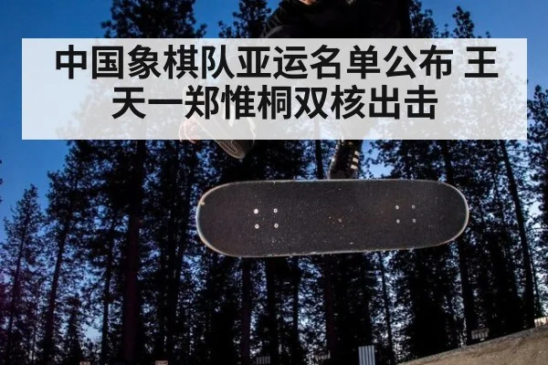 中国象棋队亚运名单公布 王天一郑惟桐双核出击