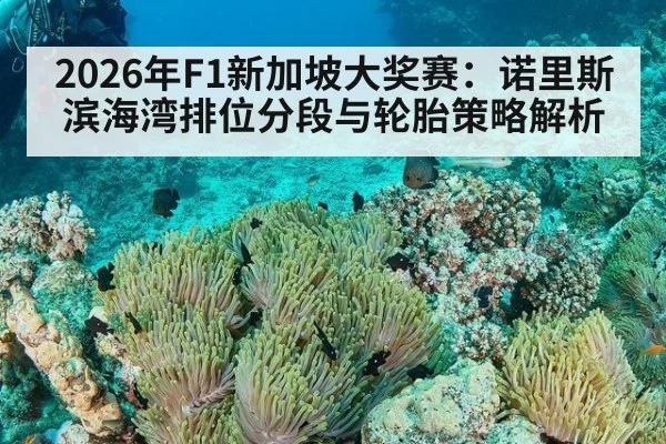2026年F1新加坡大奖赛：诺里斯滨海湾排位分段与轮胎策略解析